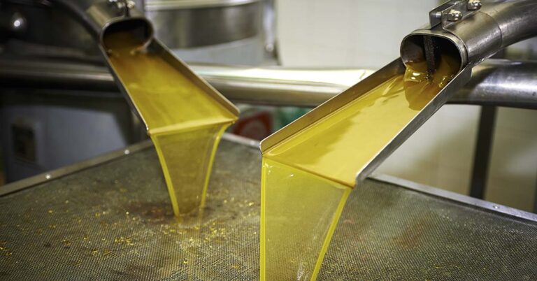 Olive oil: Health benefits, how to use, and what to look out for - Featured image