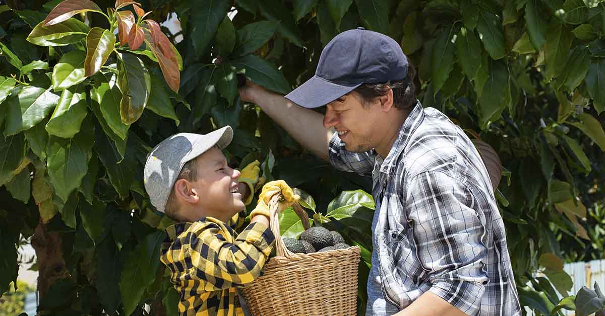 Eating This Fruit Has Been Associated With Lower Risk Of Cardiovascular And Coronary Heart Disease