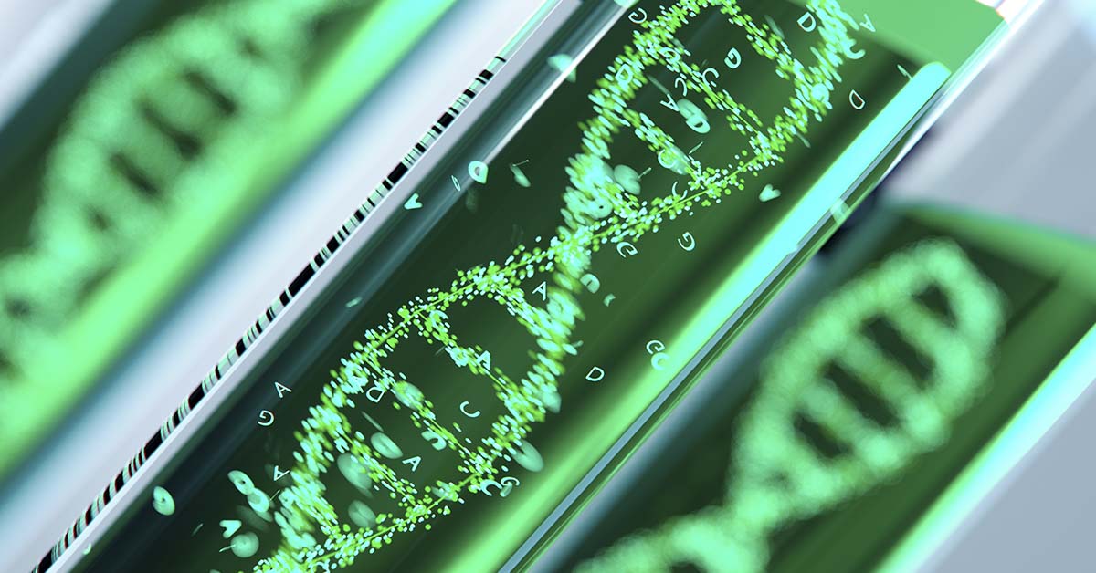 Chemical found in widely used sweetener breaks up DNA in-vitro