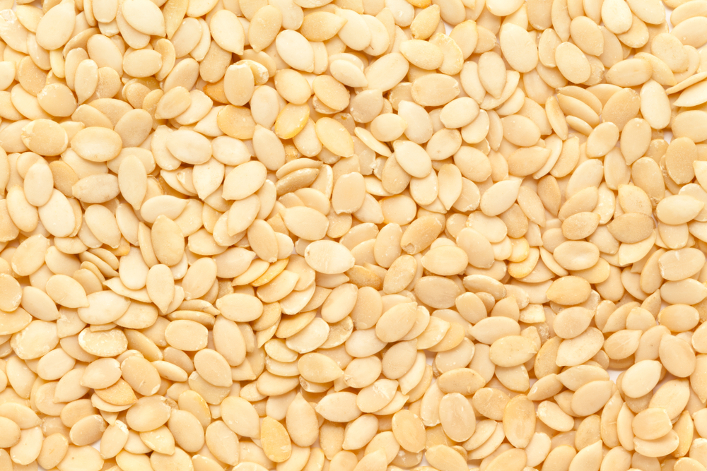Organic watermelon seed (Citrullus lanatus) in full frame plane shape. Isolated on White Background. Micro Closeup, Top view.