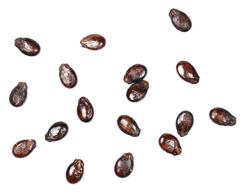Watermelon seeds, macro isolated on white background, top view