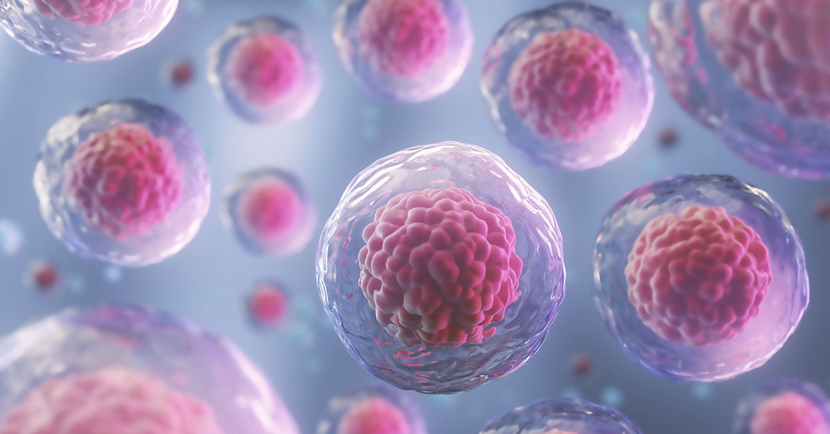 “Smart” Stem Cells Made From Human Fat Could Have The Power To Heal 