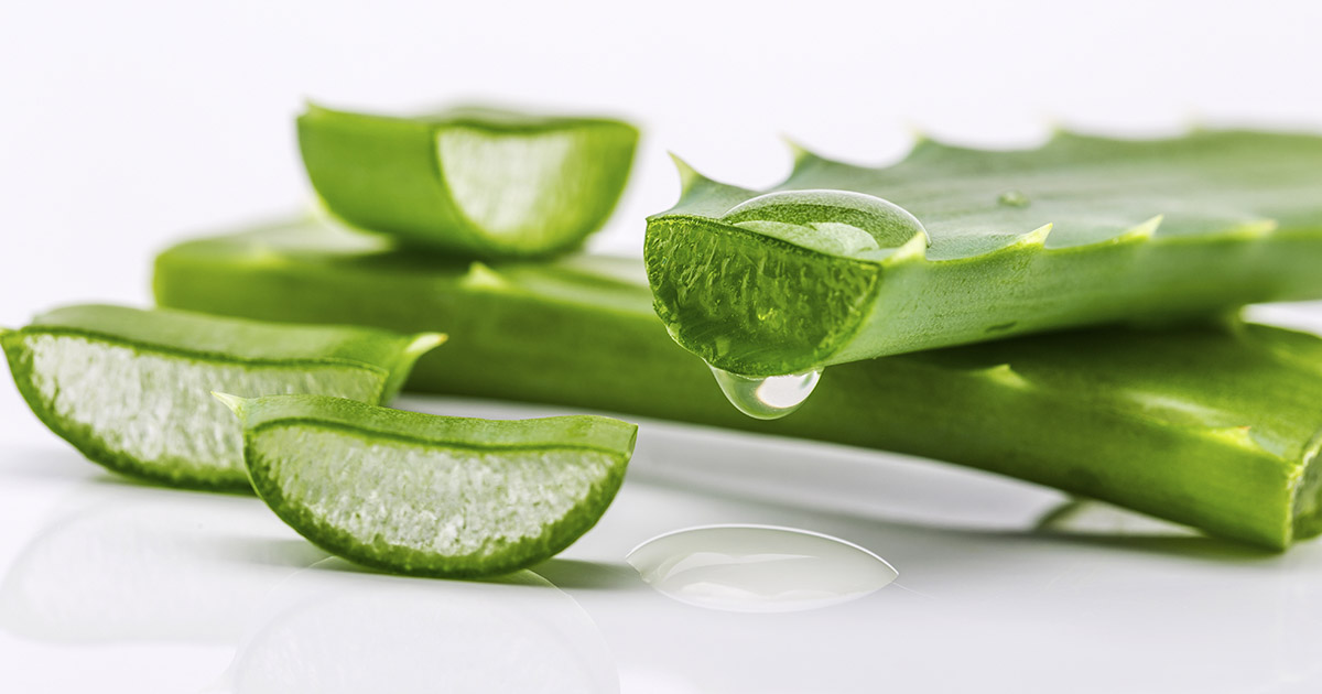 7 Health Benefits of Aloe Vera Body and Skin Will Love