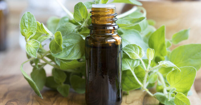 7 Potential Benefits and Uses of Oregano Oil - Featured image