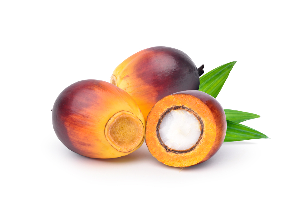 Oil Palm fruits and cut in half with green leaf isolated on white background.
