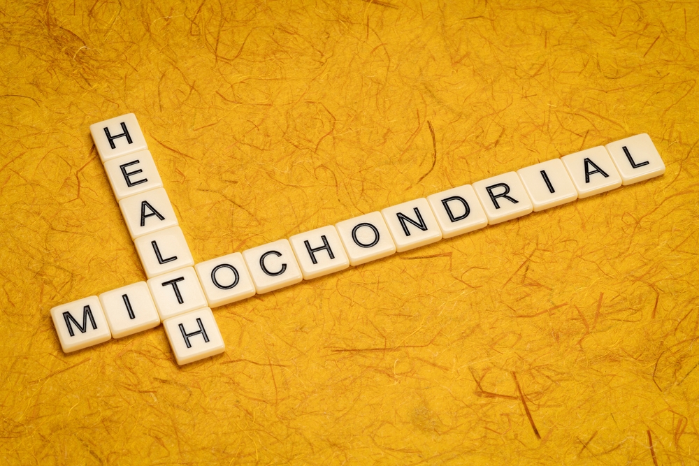 mitochondrial health crossword in ivory letter tiles against textured handmade paper, healthy lifestyle and aging concept