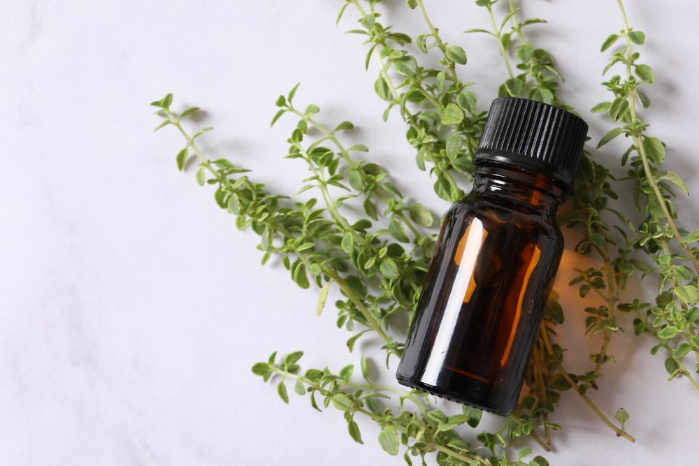 Thyme extract essential oil. nature green.