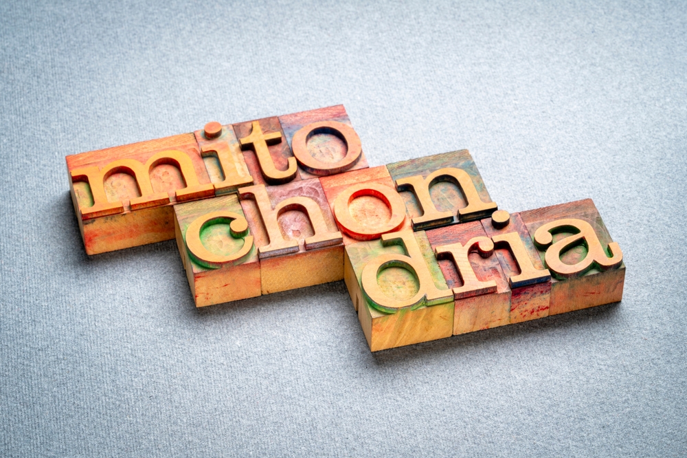 mitochondria word abstract in letterpress wood type, health and healthy lifestyle concept