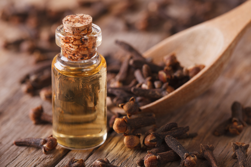 clove oil in a bottle of glass close-up on the table. horizontal