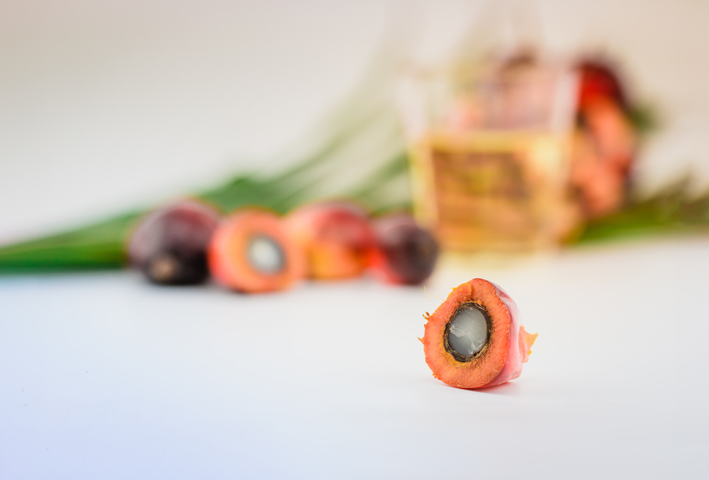 Group of palm fruit And a cup of oil on a white background - light blue. Image linking vegetable oil made from palm fruit. Focus on a half of palm fruit
