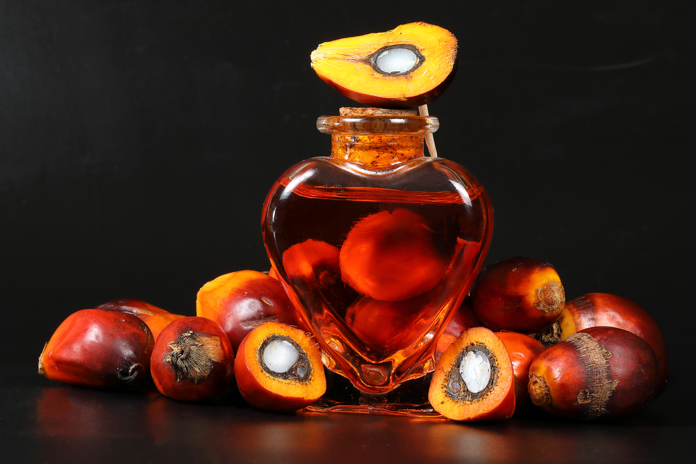 Oil Palm Fruit ripe whole products food bulb bottle

