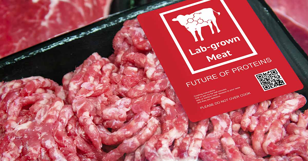 Italy moves to ban lab-grown meat to protect food heritage