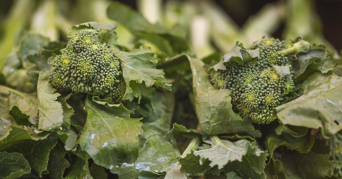 Could a molecule in cruciferous veggies help protect against lung infection?