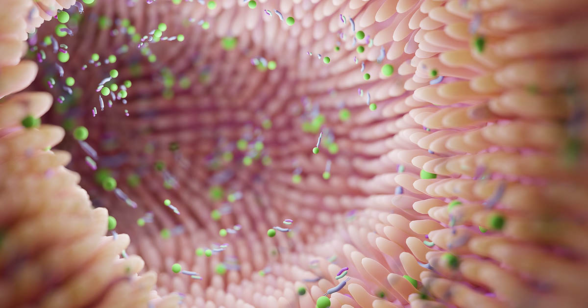 Need Probiotics? This Scientist Thinks You Should Pay $215 Monthly for a Healthy Gut