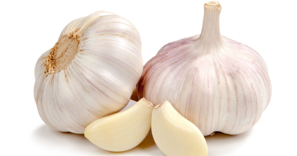 Fresh garlic isolated on white background