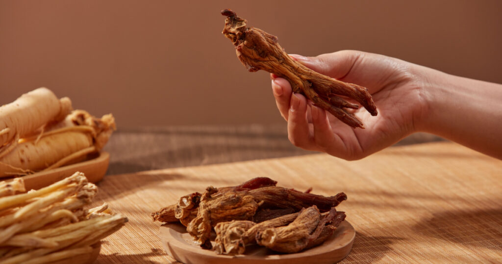 Front view of female hand picking up a red ginseng root. 
