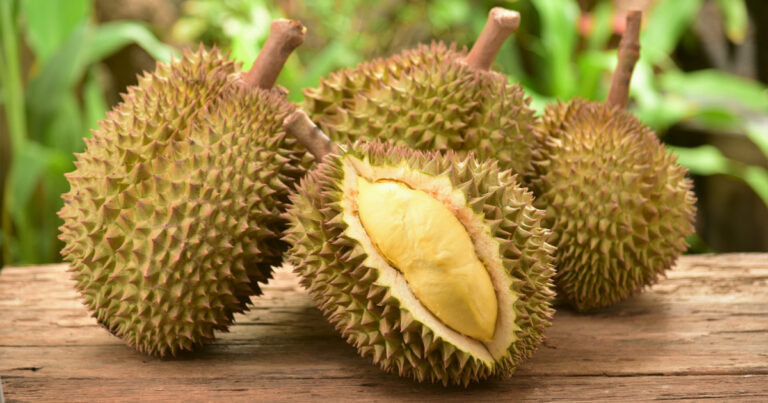 Influencer Dies of Suspected ‘Starvation and Exhaustion’ Due to Extreme Fruit-Only Raw Vegan Diet - Featured image