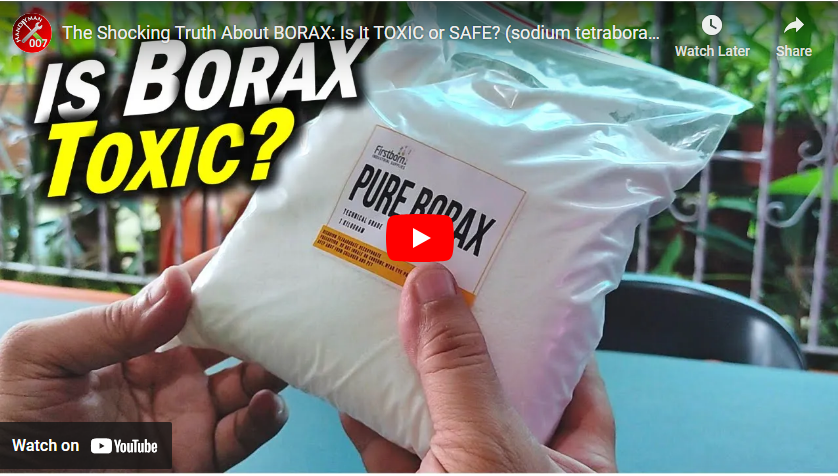 borax video
