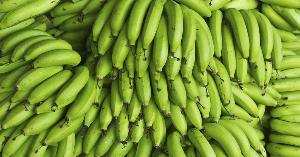 Starch in Green Bananas May Slash Risk of Some Cancers by Over 60%, Study Finds