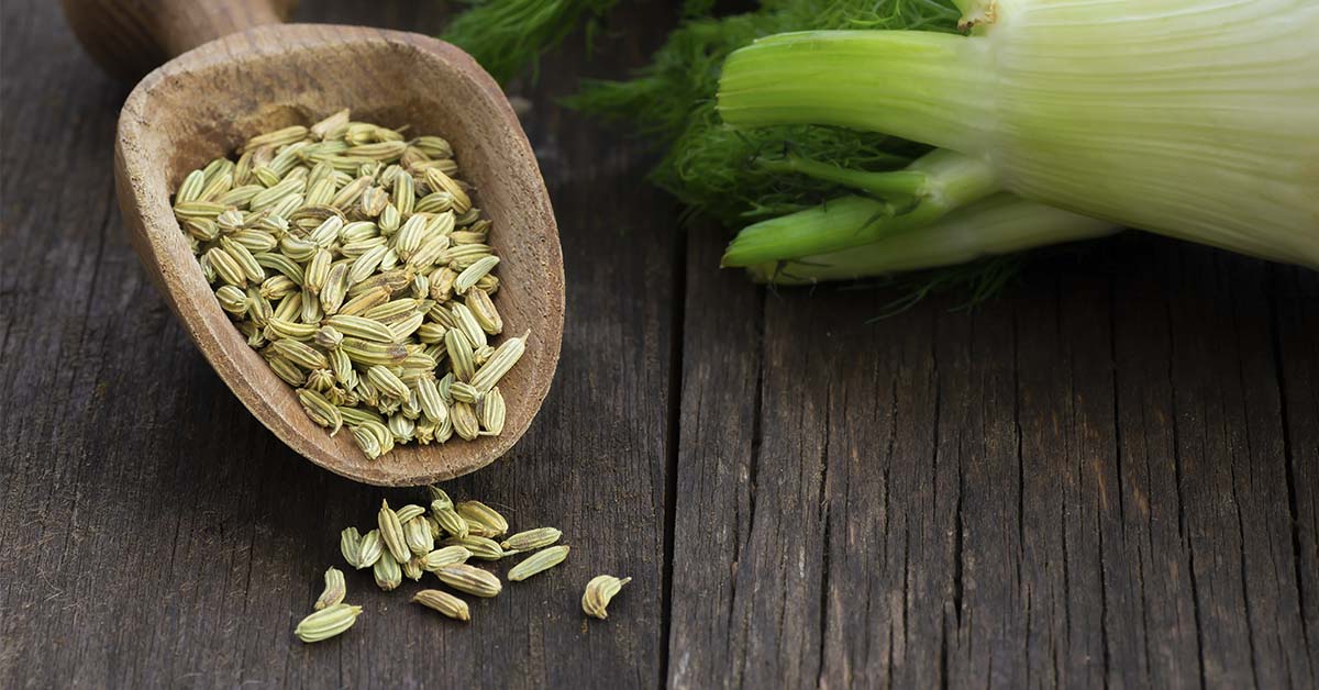 7 Benefits of Fennel and Fennel Seeds