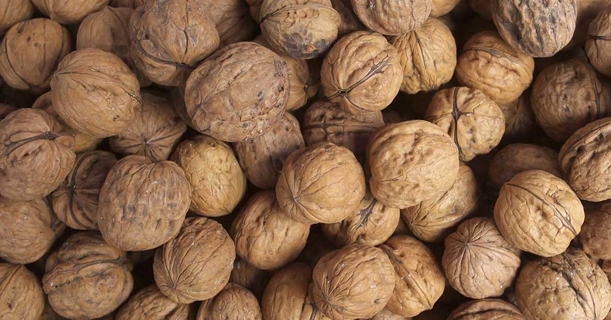 Boiling Whole Walnuts: Unveiling Grandma’s Time-Tested Culinary Trick