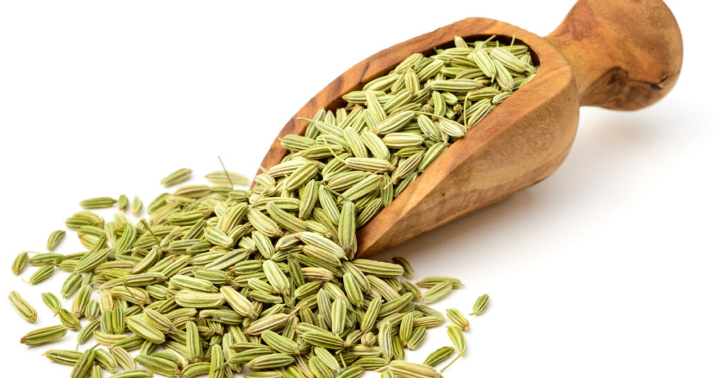 dried fennel seeds in the olive wood scoop, isolated on white