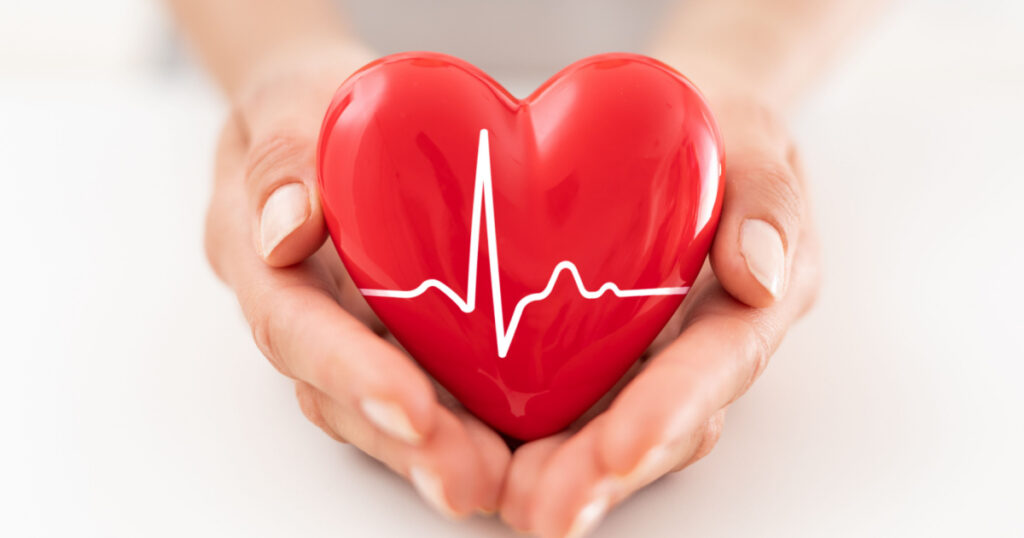 woman is holding a red heart. Concept for charity, health insurance, love