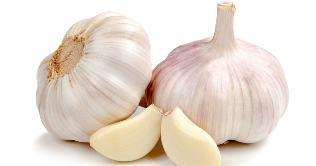 Fresh garlic isolated on white background