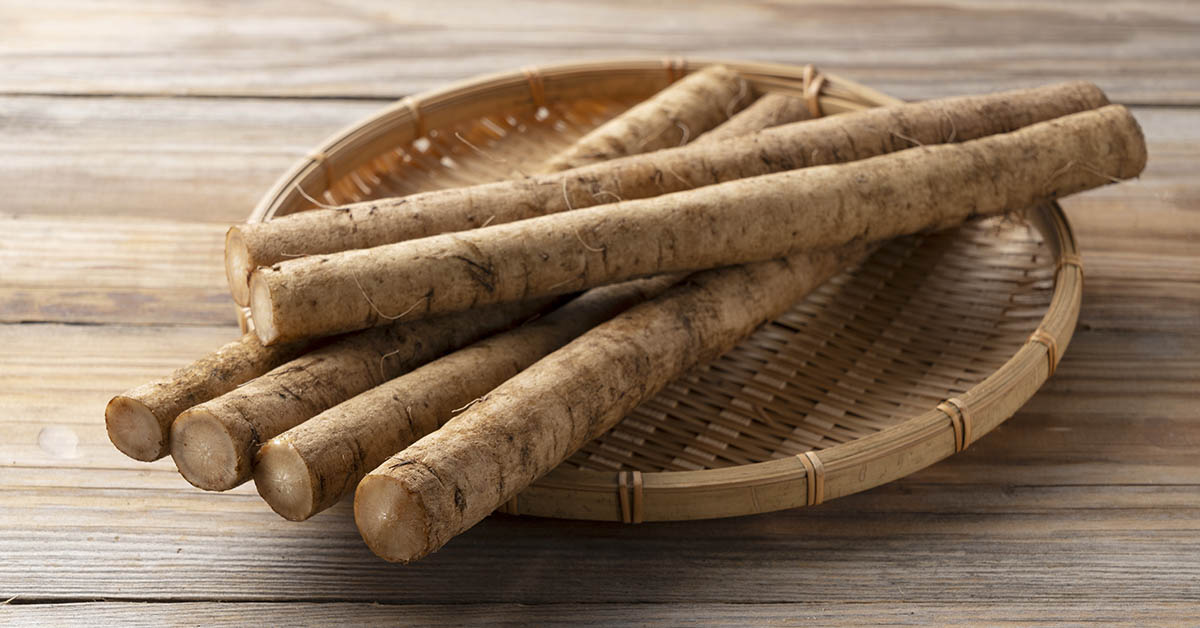 Why Burdock Roots Are the Most Important Part of the Plant