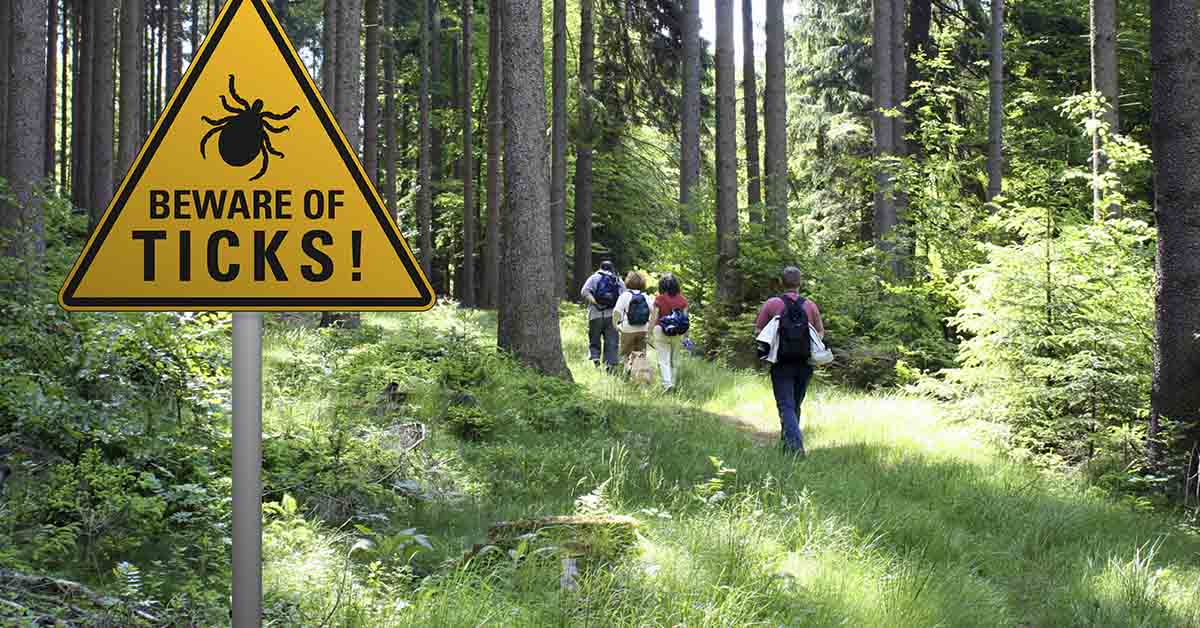 20 Symptoms of Lyme Disease You Can’t Afford to Ignore
