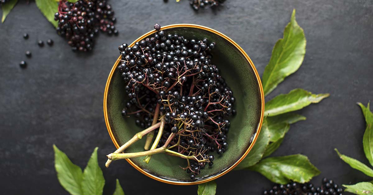 How To Make Deliciously Fizzy Elderberry Soda