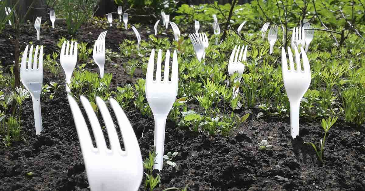 8 Gardening Hacks That Will Help Flowers, Veggies, And Fruit Flourish