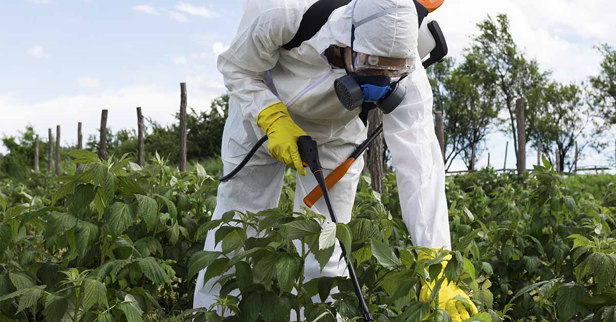 The Best Ways to Remove Pesticides from Your Fruit and Vegetables