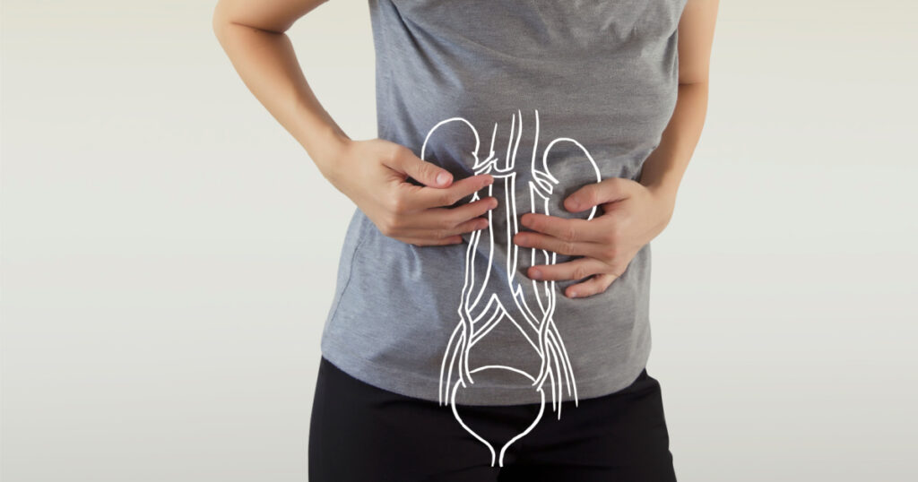 Human Female Kidney Anatomy highlighted red on body
