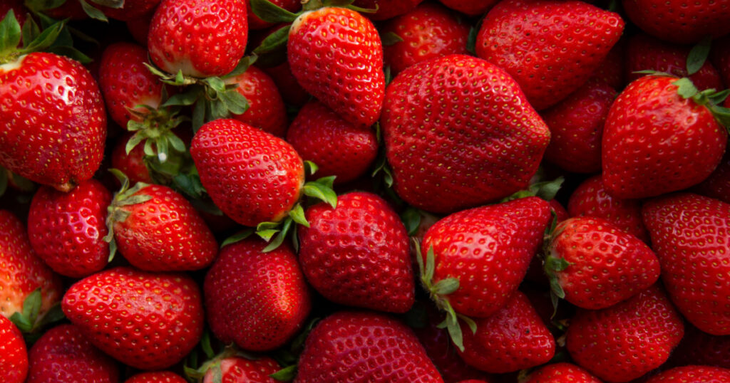 Red ripe strawberries background. Close up, top view.