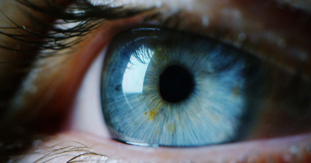 perfect blue eye macro in a sterile environment and perfect vision in resolution 6k, concept, the vision of the future and healthy life concept. view precise and straight to the target.