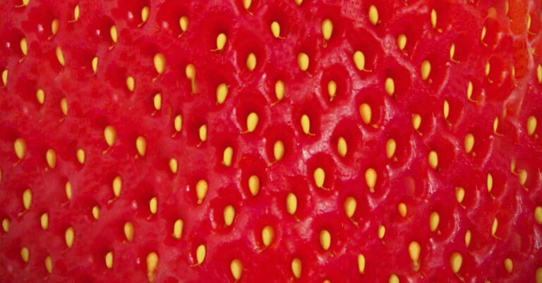 People Are Floored After Figuring Out What the White Dots on Strawberries Are - Featured image