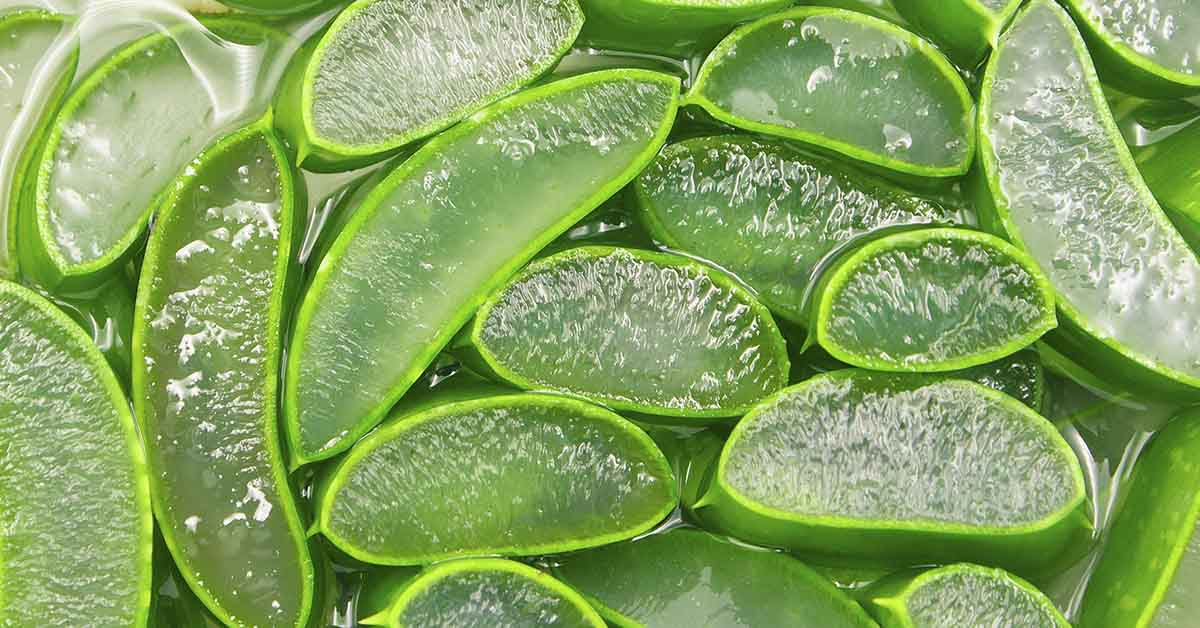 8 Benefits of Aloe Vera Everyone Needs to Know