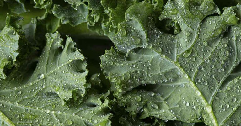 Eat More of These 8 Foods, Nutritionist Explains - Featured image