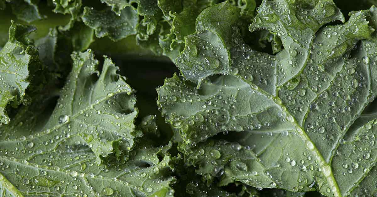 Eat More of These 8 Foods, Nutritionist Explains
