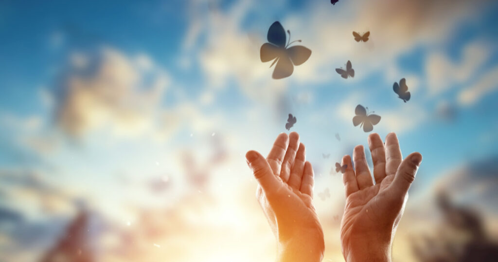 butterflies and hands