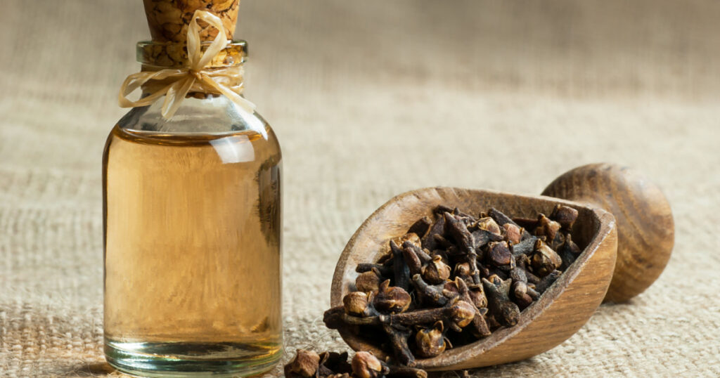 Close up glass bottle of clove oil and cloves in wooden shovel on burlap sack. Essential oil of clove rustic style background spice concept