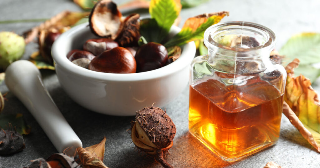 Horse chestnuts and bottle of tincture on grey table