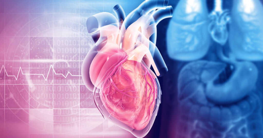 Human heart anatomy structure, 3d illustration
