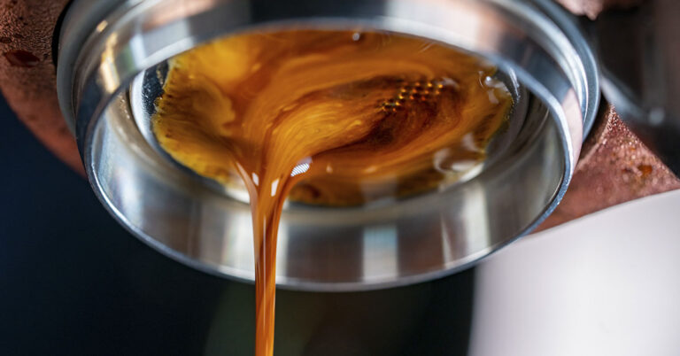 Seattle Start-Up Brewing ‘Beanless Coffee’ to Combat Deforestation - Featured image