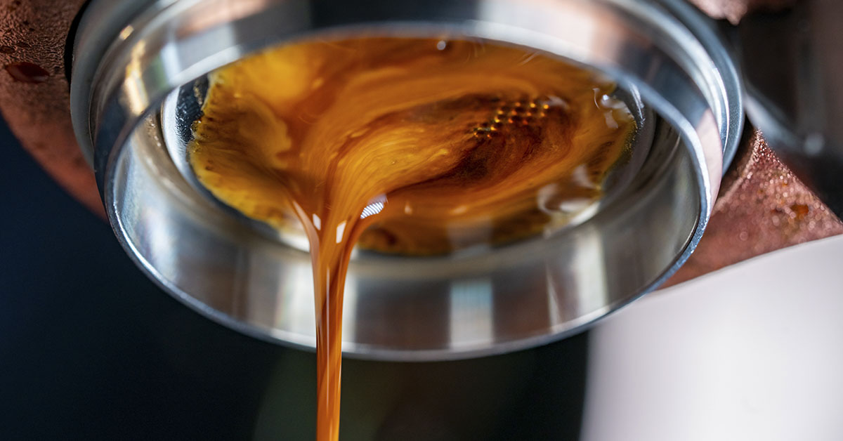 Seattle Start-Up Brewing ‘Beanless Coffee’ to Combat Deforestation
