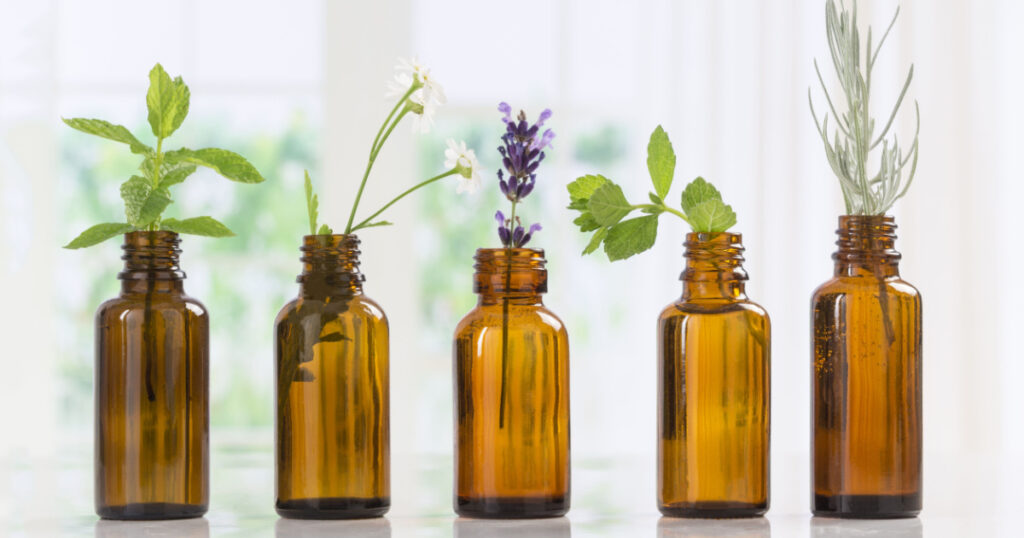 Brown Bottles of essential oil with fresh herbs