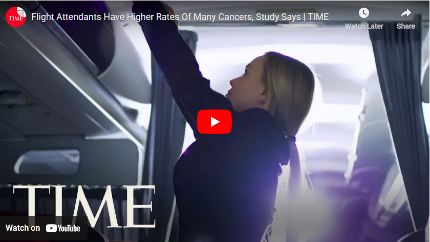 flight attendant risk video
