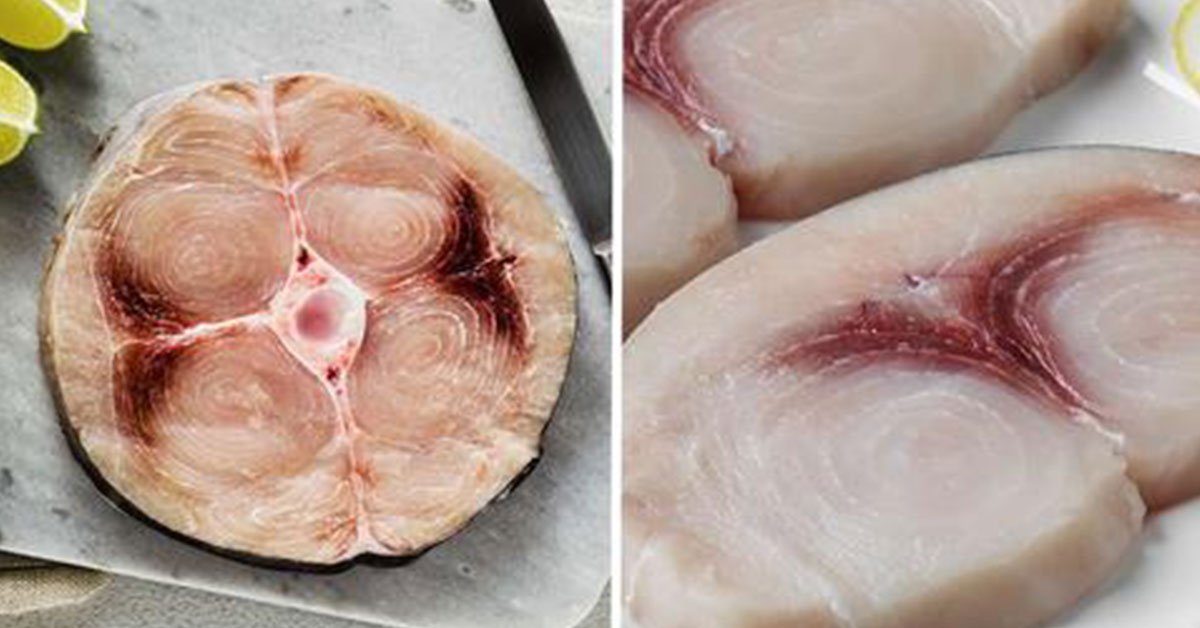 14 Fish You Should Consider Never Eating