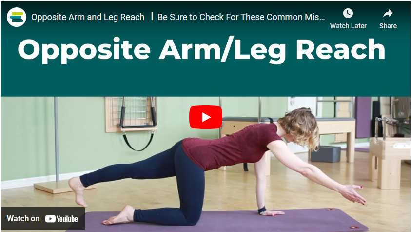 opposite arm/ leg reach
